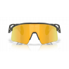 Oakley Stunt Wing Grey Smoke Prizm 24k