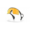 Oakley Stunt Wing Grey Smoke Prizm 24k