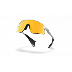 Oakley Custom Stunt Devil Matte White Prizm 24k