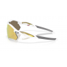 Radar Plate Polished White Prizm 24k Polarized