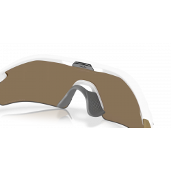 Radar Plate Polished White Prizm 24k Polarized