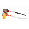 Sutro Lite Sweep Pink Crystal Prizm Ruby Vented