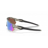 Radar Ev Path Matte Grey Ink Prizm Deep Water Polarized