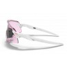 Encoder Matte White Prizm Low Light