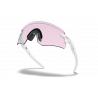 Encoder Matte White Prizm Low Light