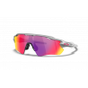 Radar Ev Path Silver Prizm Road