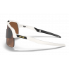 Sutro Lite Sweep Matte Vapor Prizm Tungsten Vented