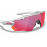 Radar Ev Path Silver Prizm Road