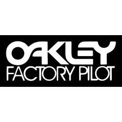 Factory Pilot Icon